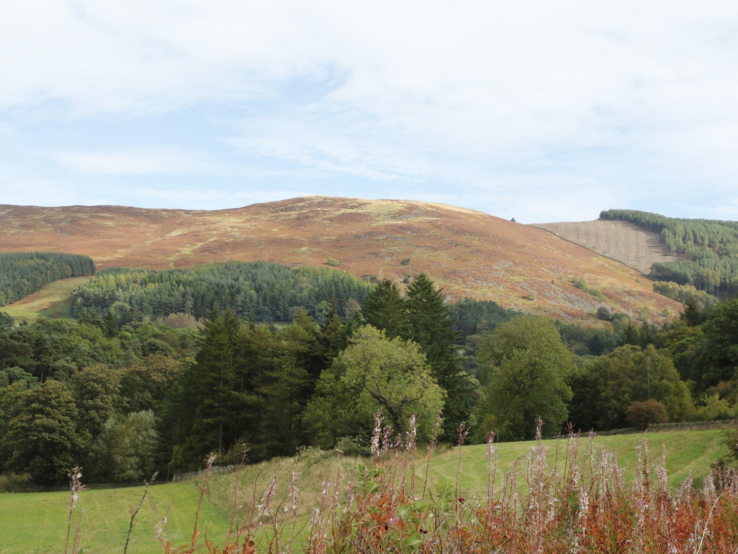 East Lodge Walkerburn 外观 照片